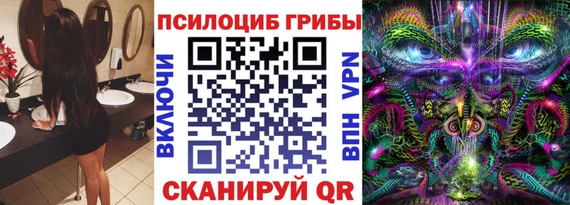Галлюциногенные грибы Cubensis  Нерехта 